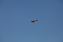 pianezza2009 442